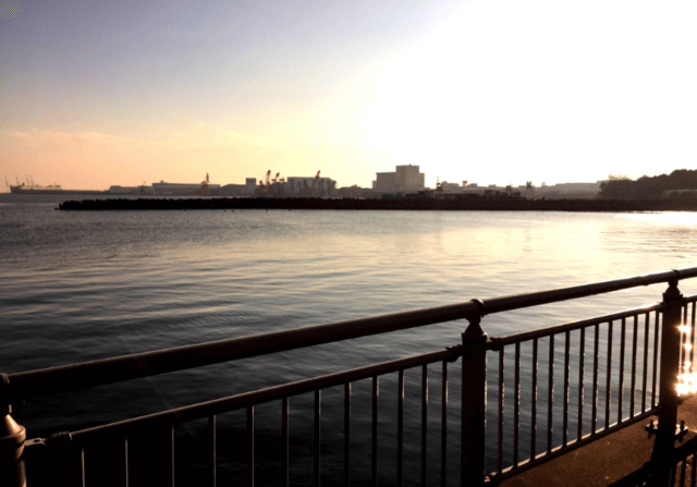 ホームとなりつつある杉田臨海緑地公園での朝釣り