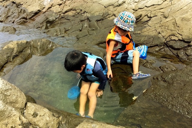 磯遊び＆のどか釣り親子コラボ