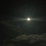 満月の夜…カブトムシ採りとメバリング
