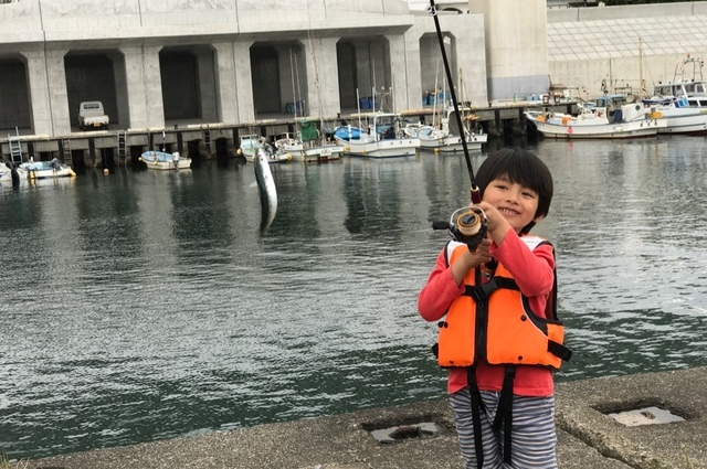 早川港、親子コラボにて、トリックサビキで小鯖