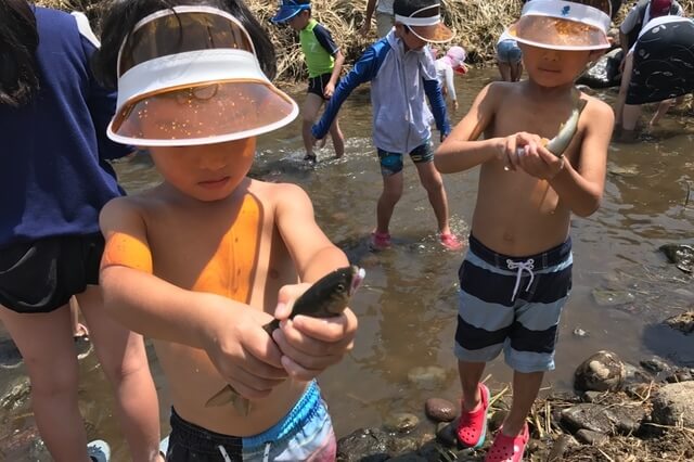 早川港、魚に触れる機会を子供達に。