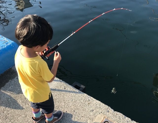 真鶴、子供達がトリックサビキでお気軽五目釣り！