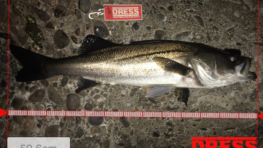 横浜、2018年初魚種は!?