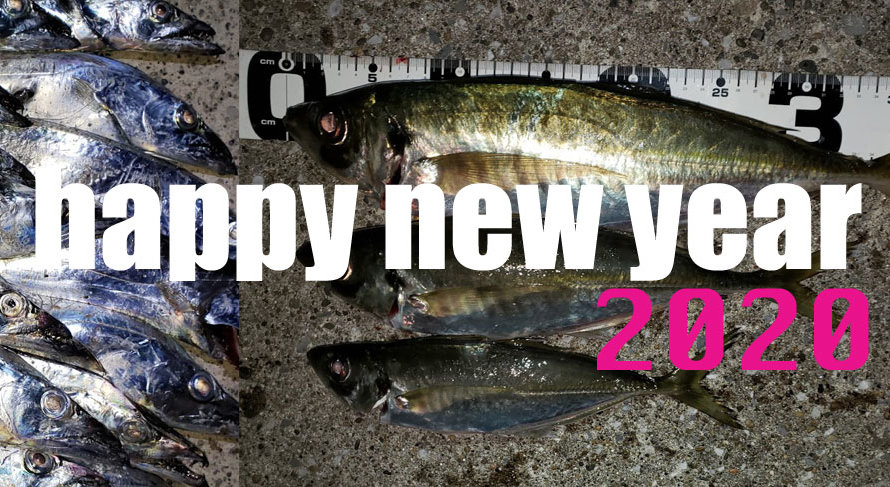 謹賀新年!2019年釣行まとめ及び2020年目標設定