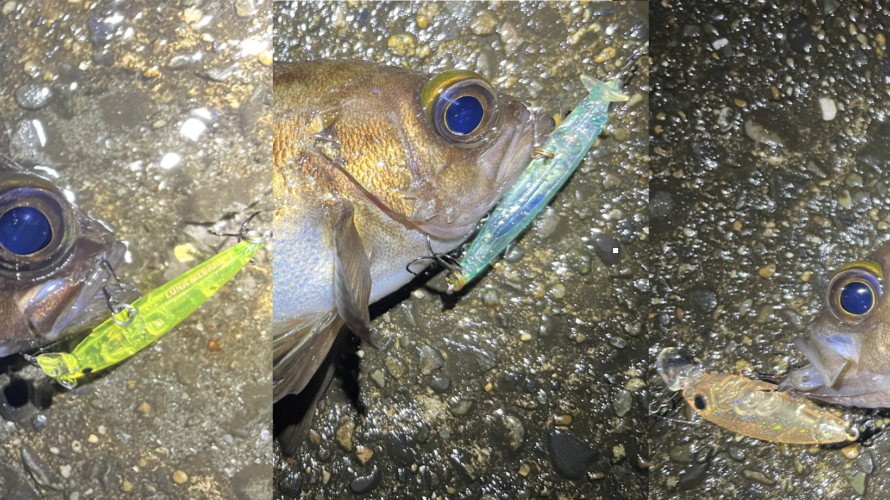 横浜、メバリングにてやっぱり良く釣れるプラグ