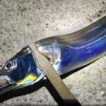 横浜、大荒れの海で太刀魚を探る！