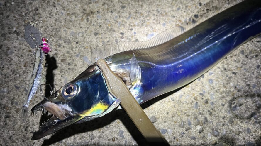 横浜、大荒れの海で太刀魚を探る!