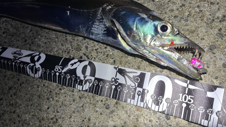 横浜、子どもとの釣りでドラゴン現る!